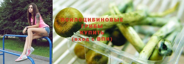 Альфа ПВП Гусь-Хрустальный