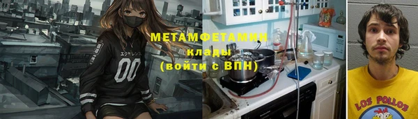 ГАЛЛЮЦИНОГЕННЫЕ ГРИБЫ Гусев