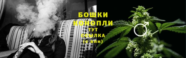 ГАЛЛЮЦИНОГЕННЫЕ ГРИБЫ Гусев