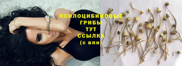 ГАЛЛЮЦИНОГЕННЫЕ ГРИБЫ Гусев