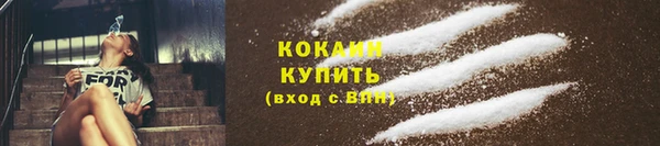 ГАЛЛЮЦИНОГЕННЫЕ ГРИБЫ Гусев