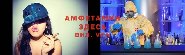 ГАЛЛЮЦИНОГЕННЫЕ ГРИБЫ Гусев