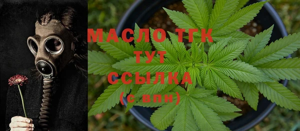 ГАЛЛЮЦИНОГЕННЫЕ ГРИБЫ Гусев