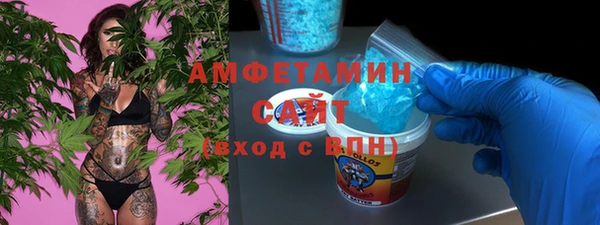 ГАЛЛЮЦИНОГЕННЫЕ ГРИБЫ Гусев